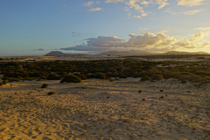 Corralejo, Islote de Lobos (vuelta a la isla, ruta a pie) y Dunas de Corralejo. - Fuerteventura (Islas Canarias). La isla de las playas y el viento. (62)