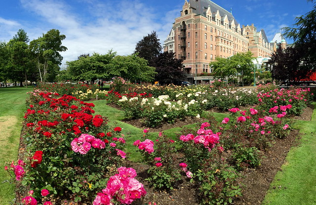 Roses at the Empress Hotel