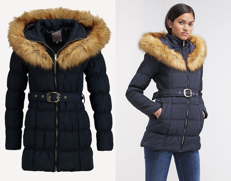 Where to Buy Stylish Winter Coats | Fashion Jackson