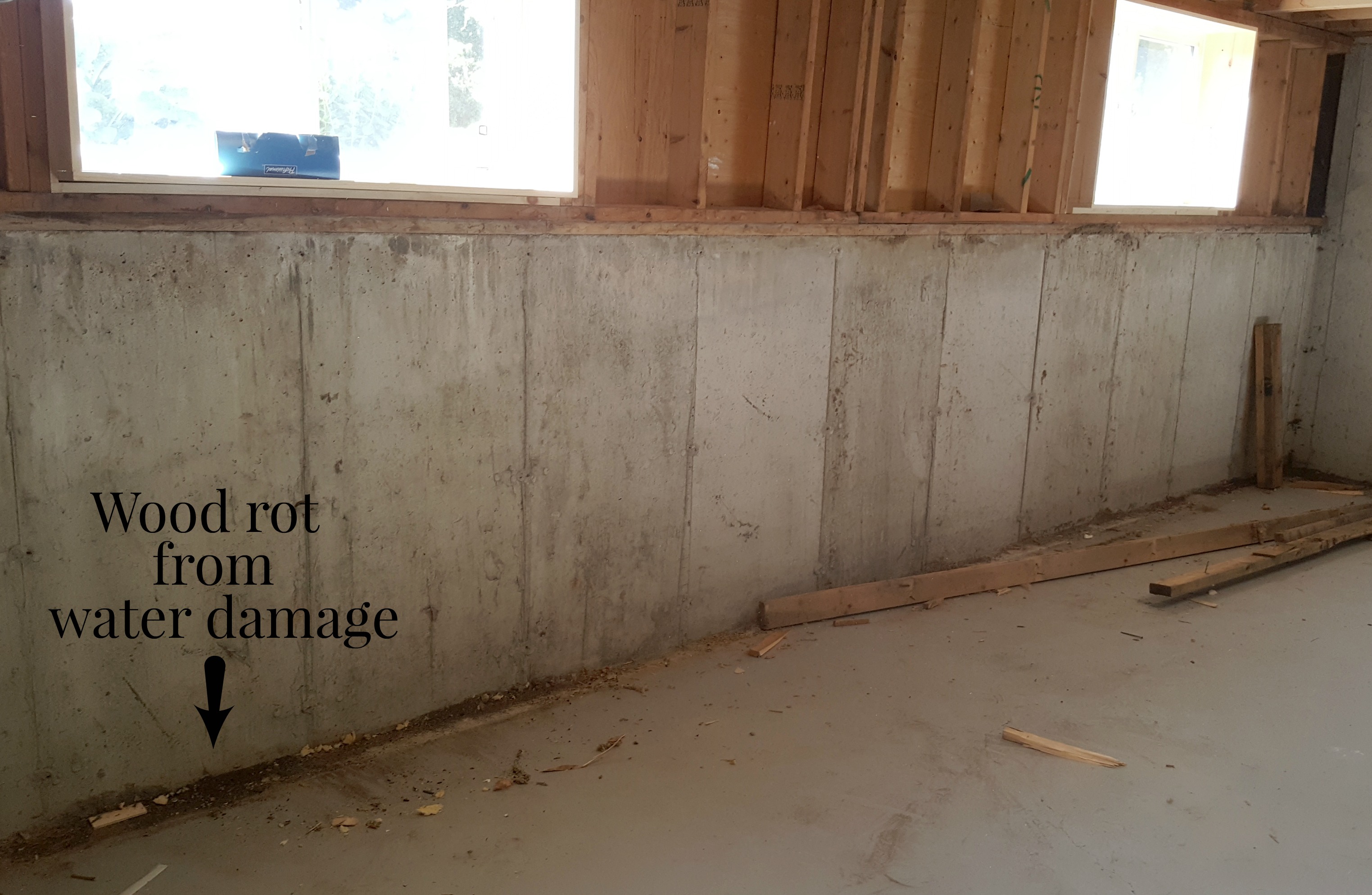 Turtles And Tails Basement Wall Framing Insulating