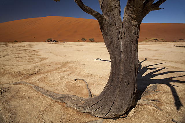Desierto del Namib - NAMIBIA & KRUGER por libre: 21 días Very WILD (18)