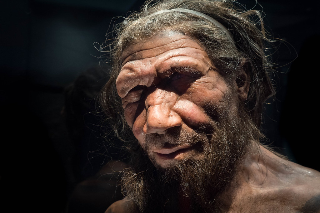 Neanderthal Man | A MKU3A visit to Kensington and the ...
