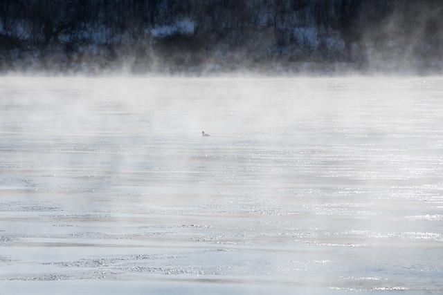 ice and fog  on the river