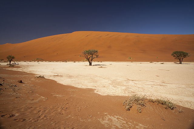 Desierto del Namib - NAMIBIA & KRUGER por libre: 21 días Very WILD (20)