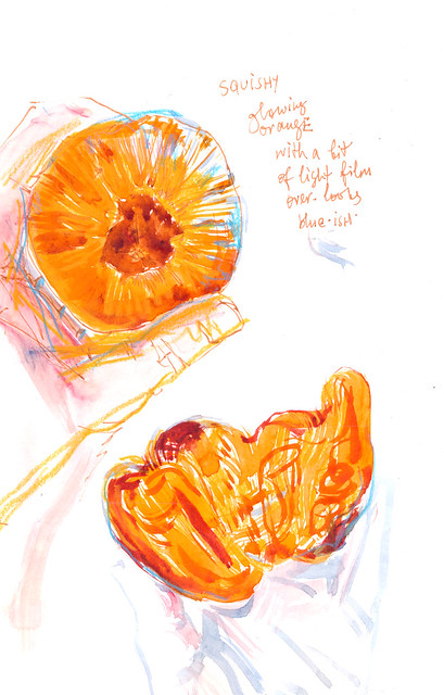 Sketchbook #101: Visiting Persimmon Orchard
