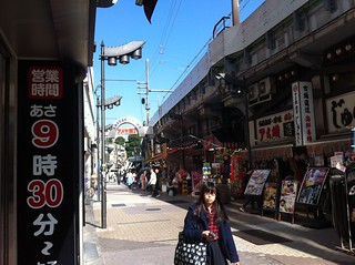 Día 15: Paseos libres por Tokyo y alguna compra - Luna de Miel por libre en Japon Octubre 2015 (1)