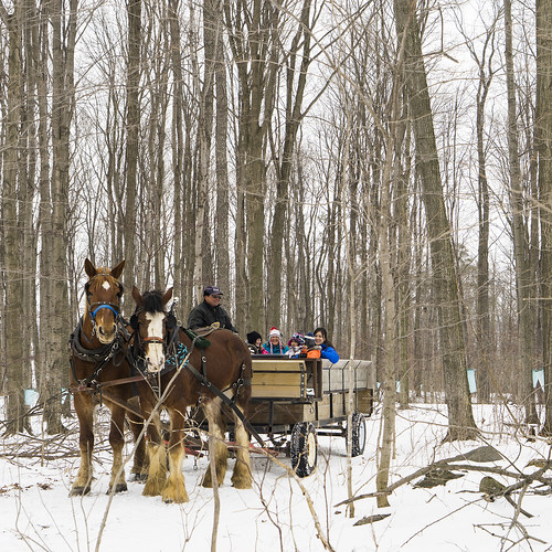  Visit Stratford for a Spring Maple Trail Adventure