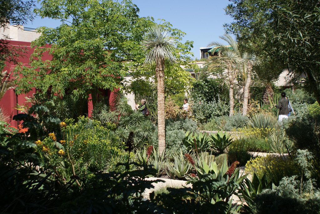 Dans le jardin exotique avec les plantes de différentes parties du monde.