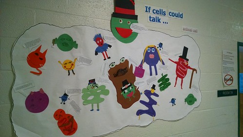 Cells in the Hallway