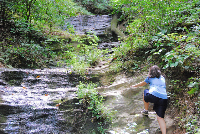 Hike to Little Mountain Falls at Fairy Stone State Park, Va