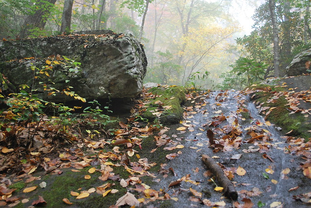 Lose yourself this fall at Douthat State Park in Virginia