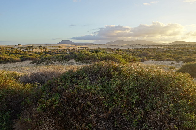 Corralejo, Islote de Lobos (vuelta a la isla, ruta a pie) y Dunas de Corralejo. - Fuerteventura (Islas Canarias). La isla de las playas y el viento. (60)