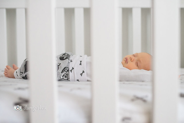 Portrait of a sleeping baby by Ottawa photographer Danielle Donders