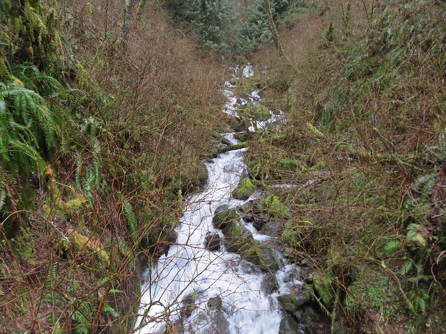 Stream along the Moulton Falls Trail