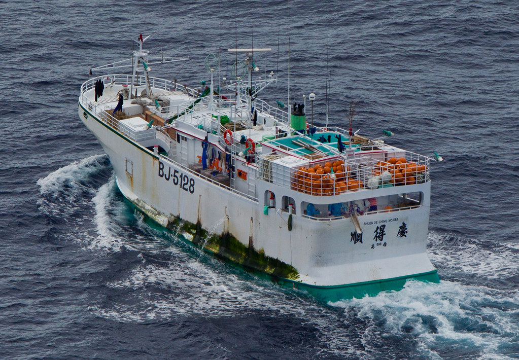 台籍漁船「順得慶 888 號」涉嫌割鰭棄身，已遭漁業署依法辦理。圖片來源：台灣綠色和平組織