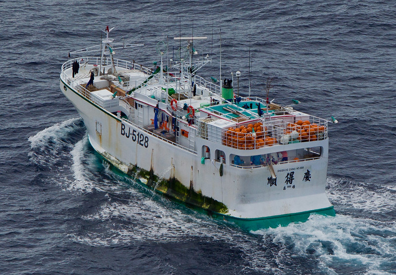 台籍漁船「順得慶888號」涉嫌割鰭棄身，已遭漁業署依法辦理。圖片來源：台灣綠色和平組織
