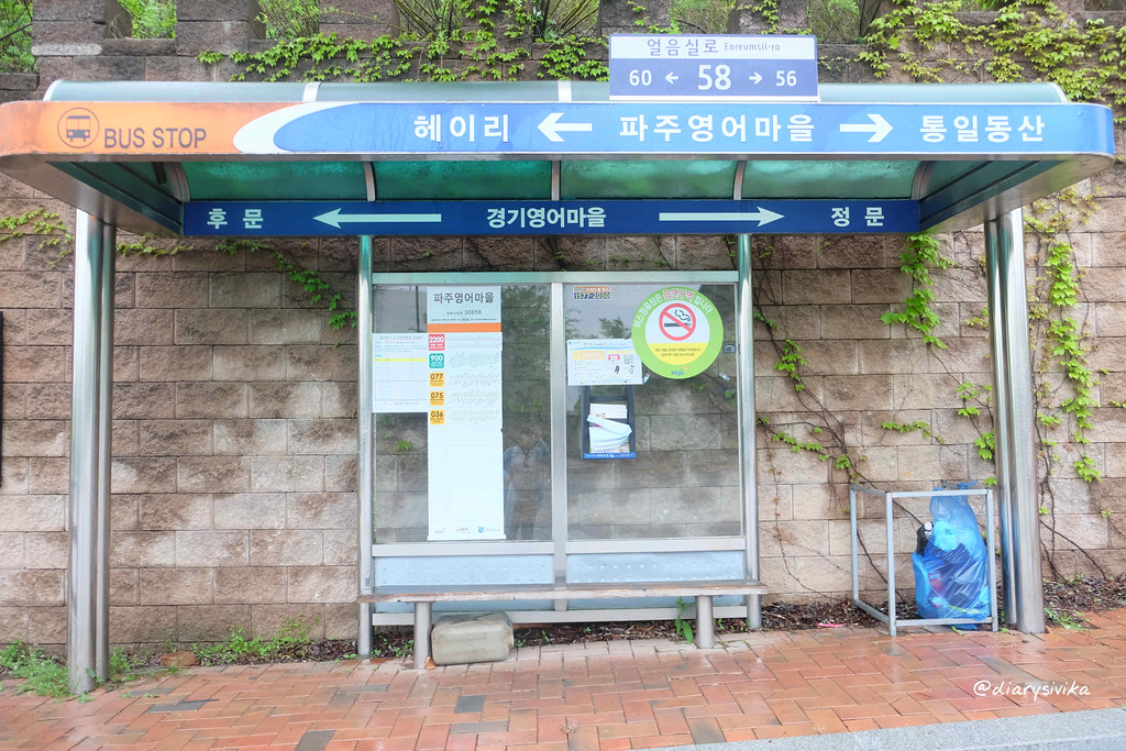 bus di korea 1