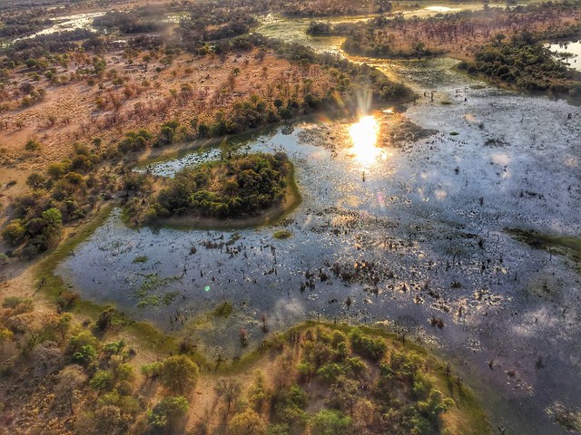 El delta del Okavango desde la avioneta (Botswana)