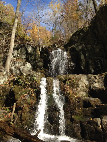 Doyle River Falls Trail