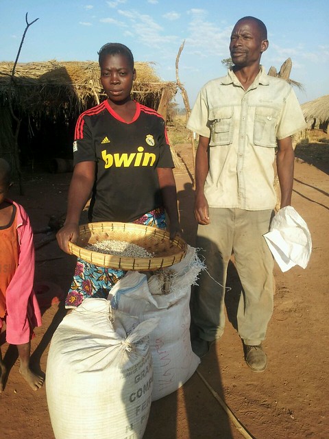 Thomas Banda and his wife showing their produce. Photo credit: Maambo Mudenda/CIMMYT