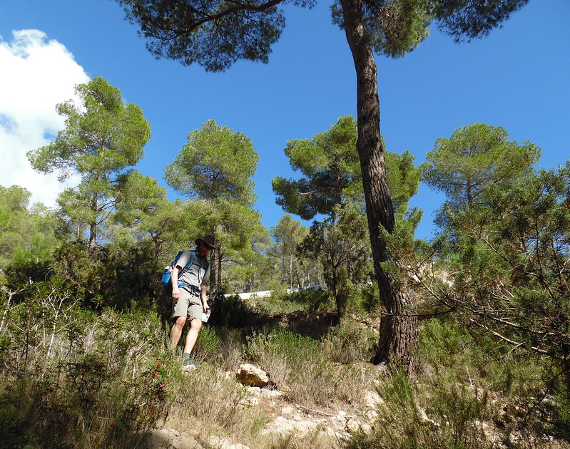 Walking Across Ibiza