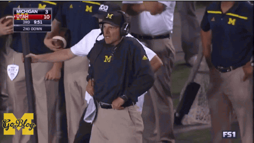 Image result for harbaugh michigan gif