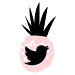 Pink-Pineapples-Twitter