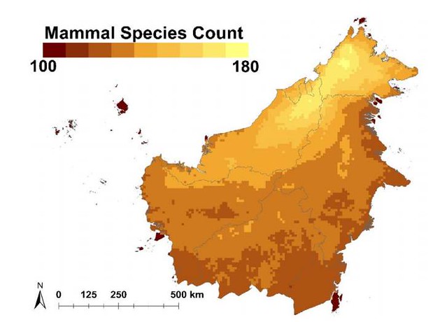 婆羅洲水壩範圍內的哺乳類物種數算。