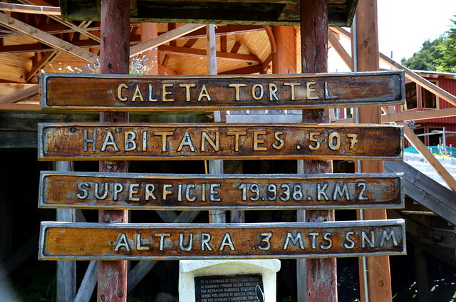 Caleta Tortel, Southern Chile