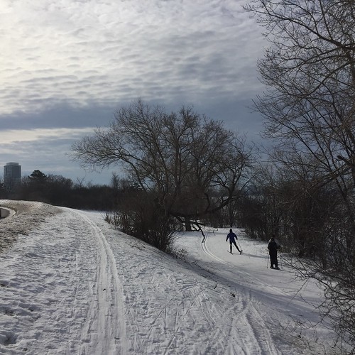 A visit to the SJAM winter trail