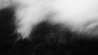 Where The Winds Blow | ... Issaquah, WA Tumblr | instagram |… | Flickr