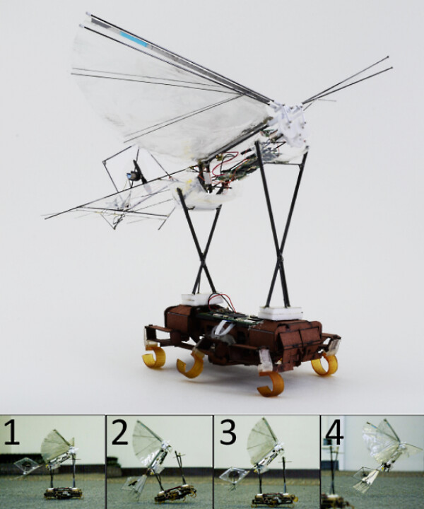 Robots fit: cockroaches running the machine, flying bird machine