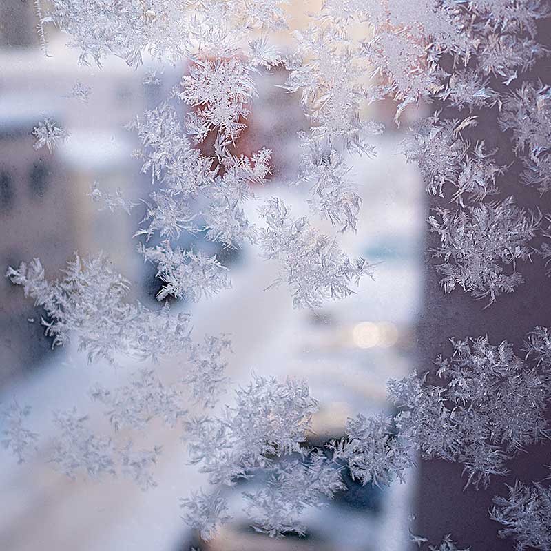 窓凍る
