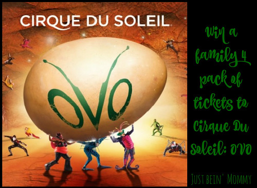 Cirque Du Soleil OVO 