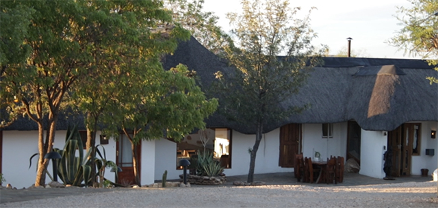 NAMIBIA & KRUGER por libre: 21 días Very WILD - Blogs de Africa Sur - Parque Nacional ETOSHA (5)