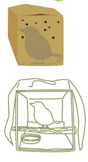 鳥類運輸箱籠選擇，以鳥類體型兩到三倍為佳。