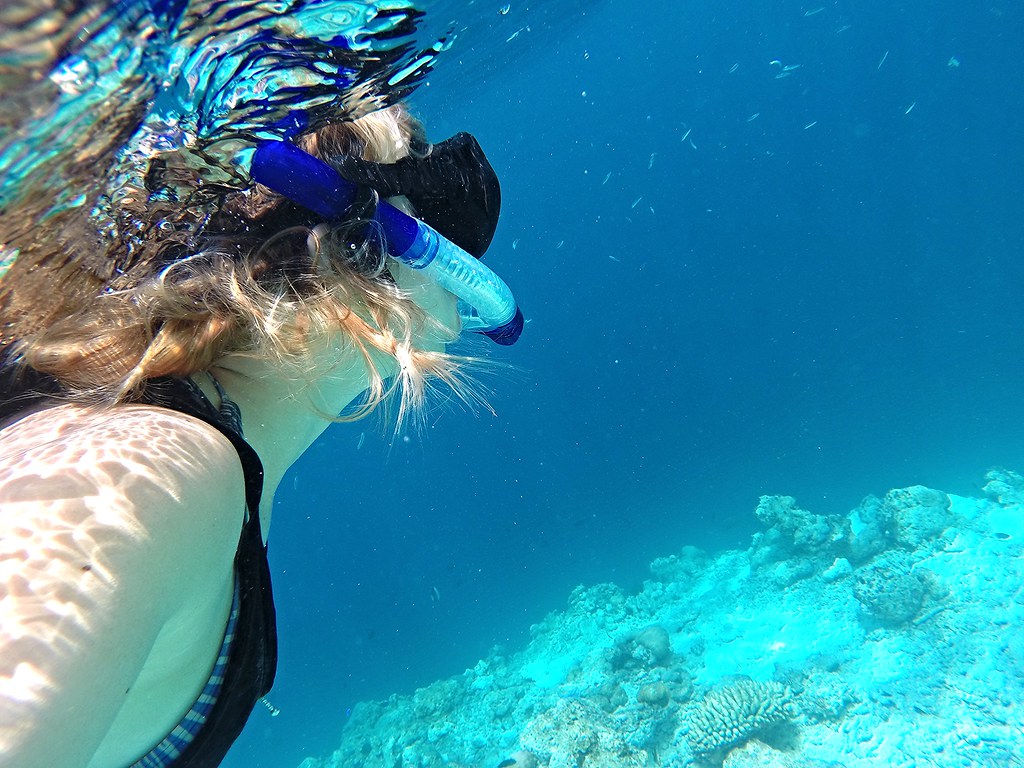 Malediivit snorklaus