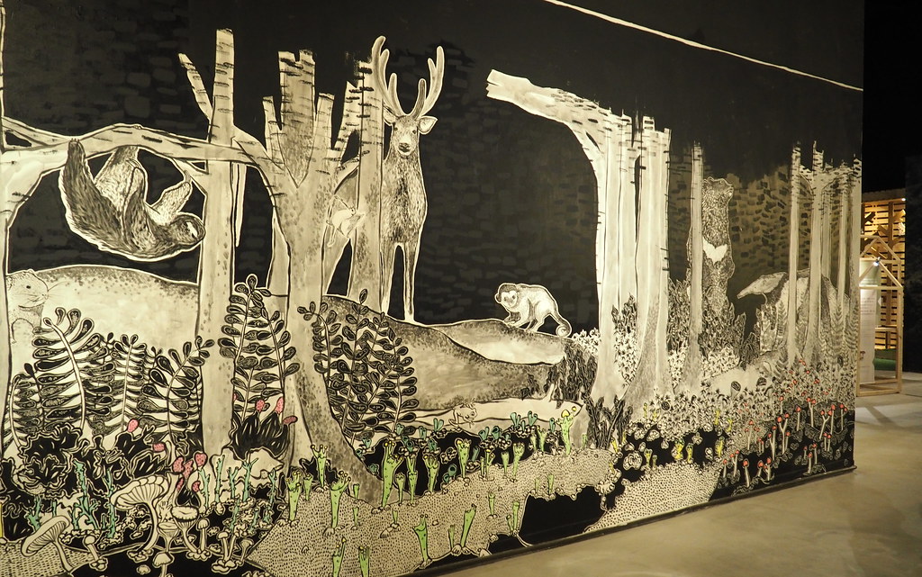 森林教室內的手繪森林牆隱藏多種森林動植物。攝影：李育琴