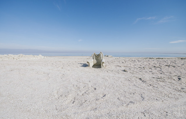 Thermal, Califormia at the Salton Sea II