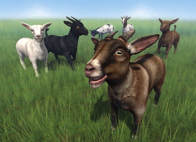 JIAN Goat Collection (FaMESHed Mar '17)