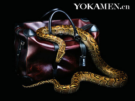 Riveted woven striped variety of your choice snakeskin handbags