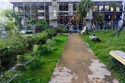 近年來城市中推動的改變若干公園綠地為（人）可食地景之一，位於台北市羅斯福路。圖片提供：陳信甫