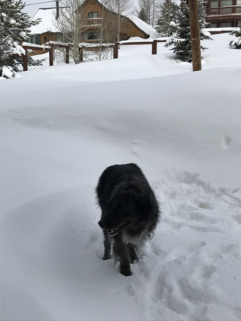 Aspen Snow