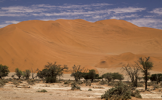 Desierto del Namib - NAMIBIA & KRUGER por libre: 21 días Very WILD (25)