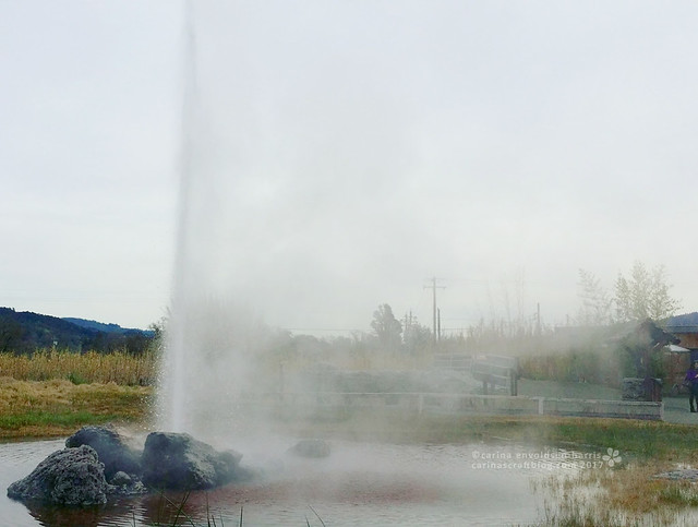 Calistoga geyser