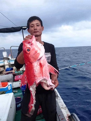 本被鯊魚搶食的罹鉤漁獲，這種無奈對漁民來說早已司空見慣。圖片來源：白尚儒