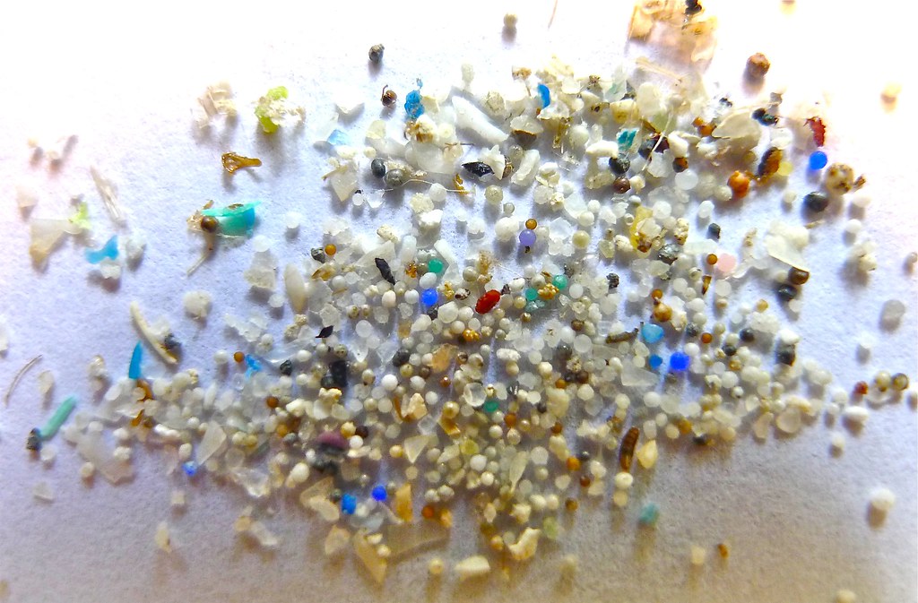 Image result for microplastics ocean