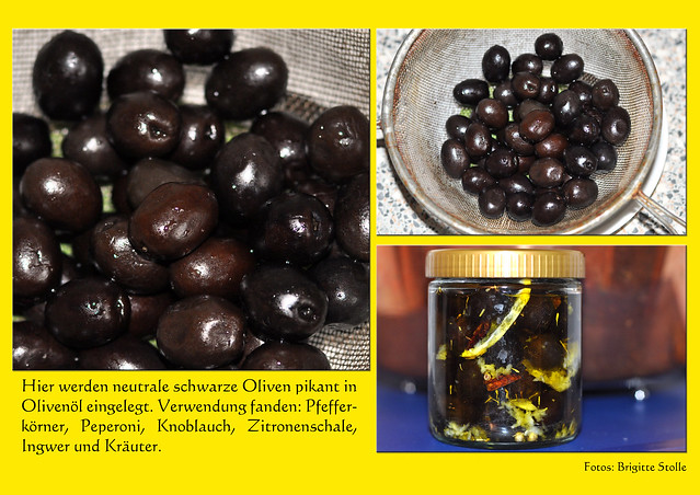 Neutrale schwarze Oliven pikant einlegen ... Eingelegte Oliven ... Olivenöl, Peperoni, Ingwer, frischer Knoblauch, Kräuter, Zitronenschalen ... Fotos und Collage: Brigitte Stolle 2016