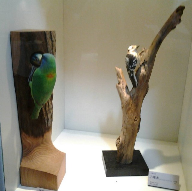 2968野鳥生態木雕