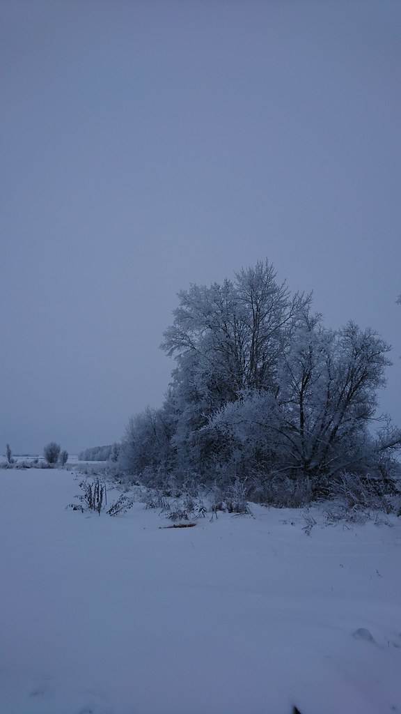 Деревенская природа зимой